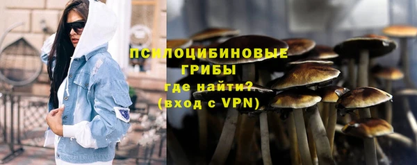 гашик Алзамай